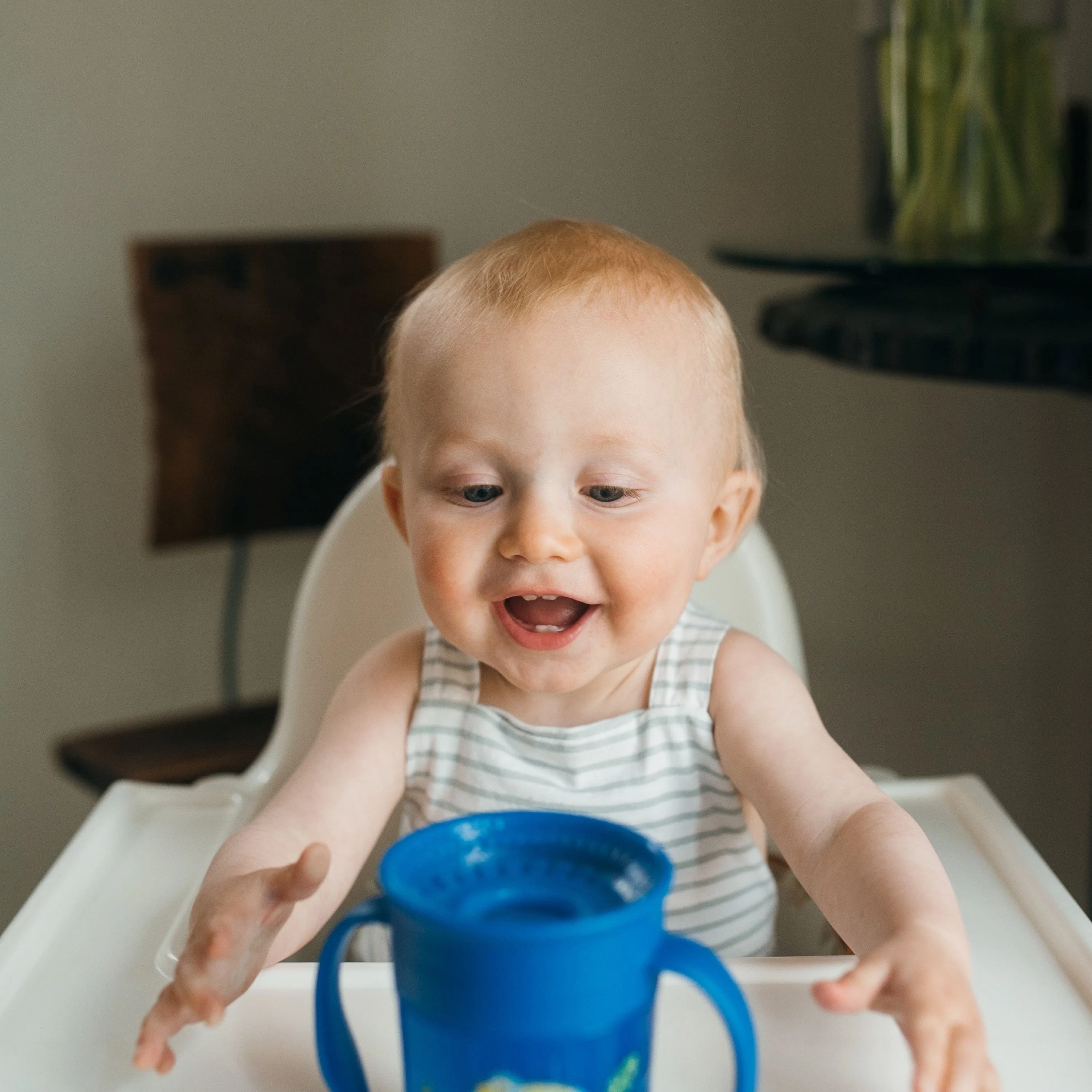 Dr. Brown’s® Milestones™ Cheers360™ Cup with Handles, 7 oz/200 Ml - Image 4